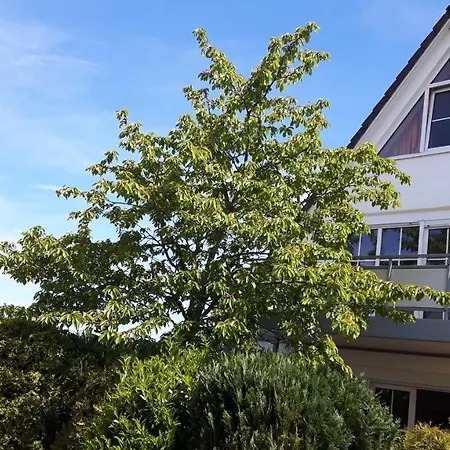 Wellenberg Apartment Breege